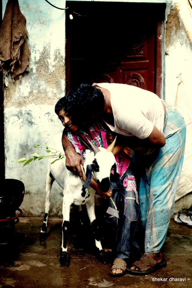 Joyful Kid with a Goat in Dharavi, a Bombay Slum